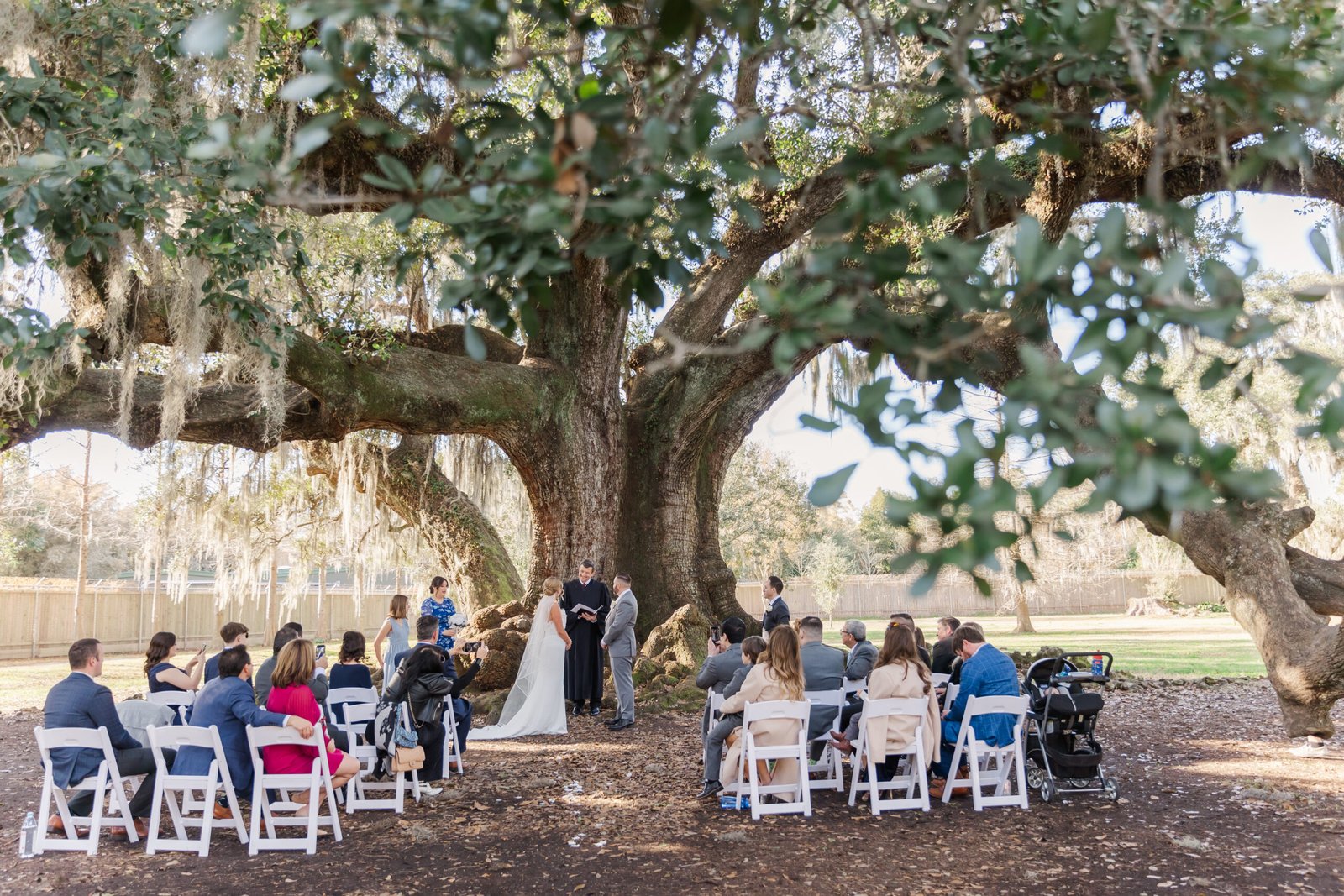 Couple elopes under the Tree of Life, New Orleans