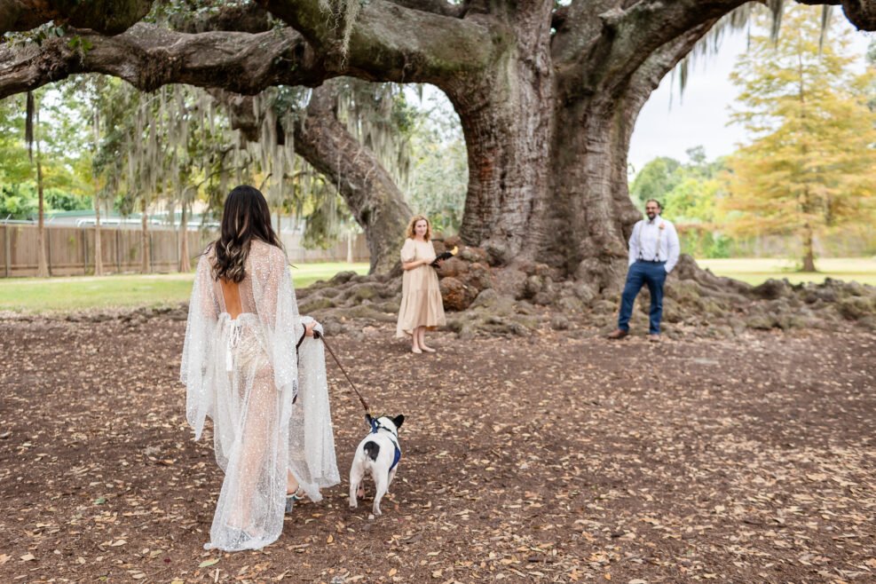 Wedding couple celebrates at the Tree of Life