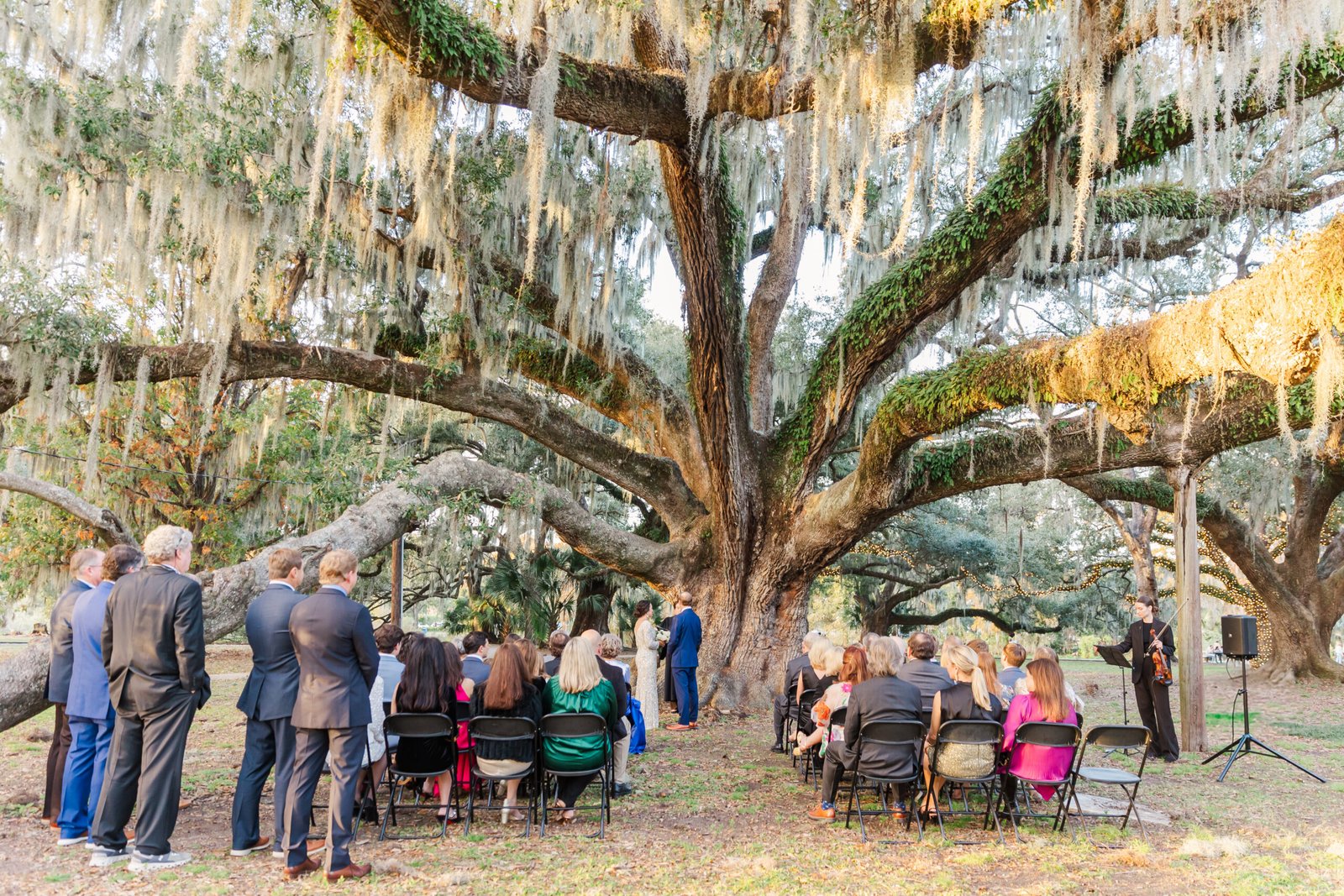 City Park elopement photo with dramatic tree backdrop
